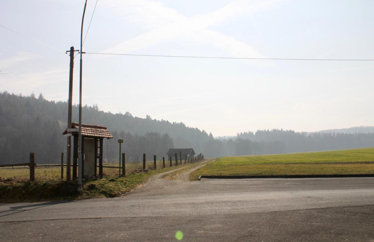 Gasthaus Zur Hardtmuehle Alsfeld Eksteriør bilde